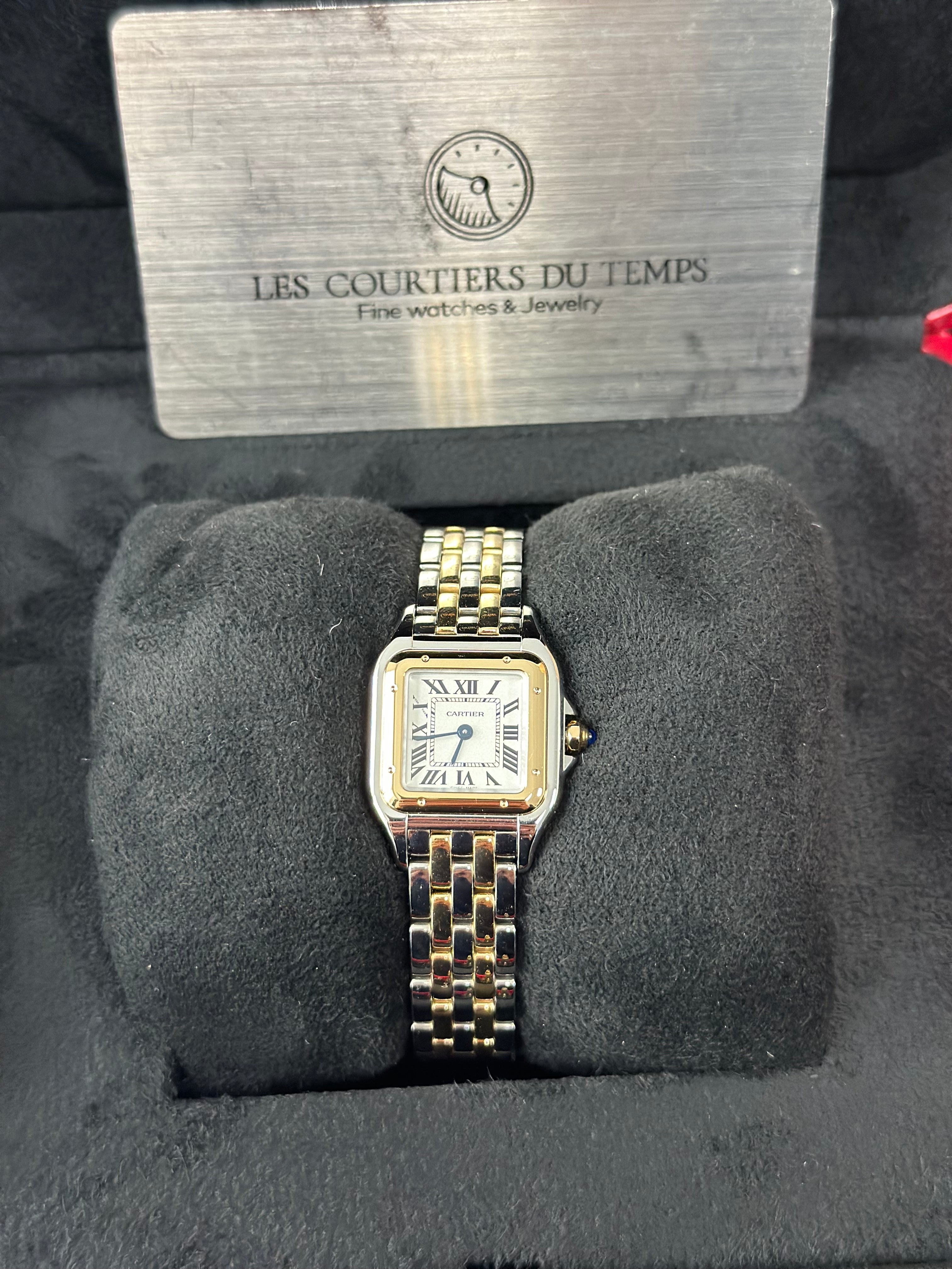 Cartier Panther