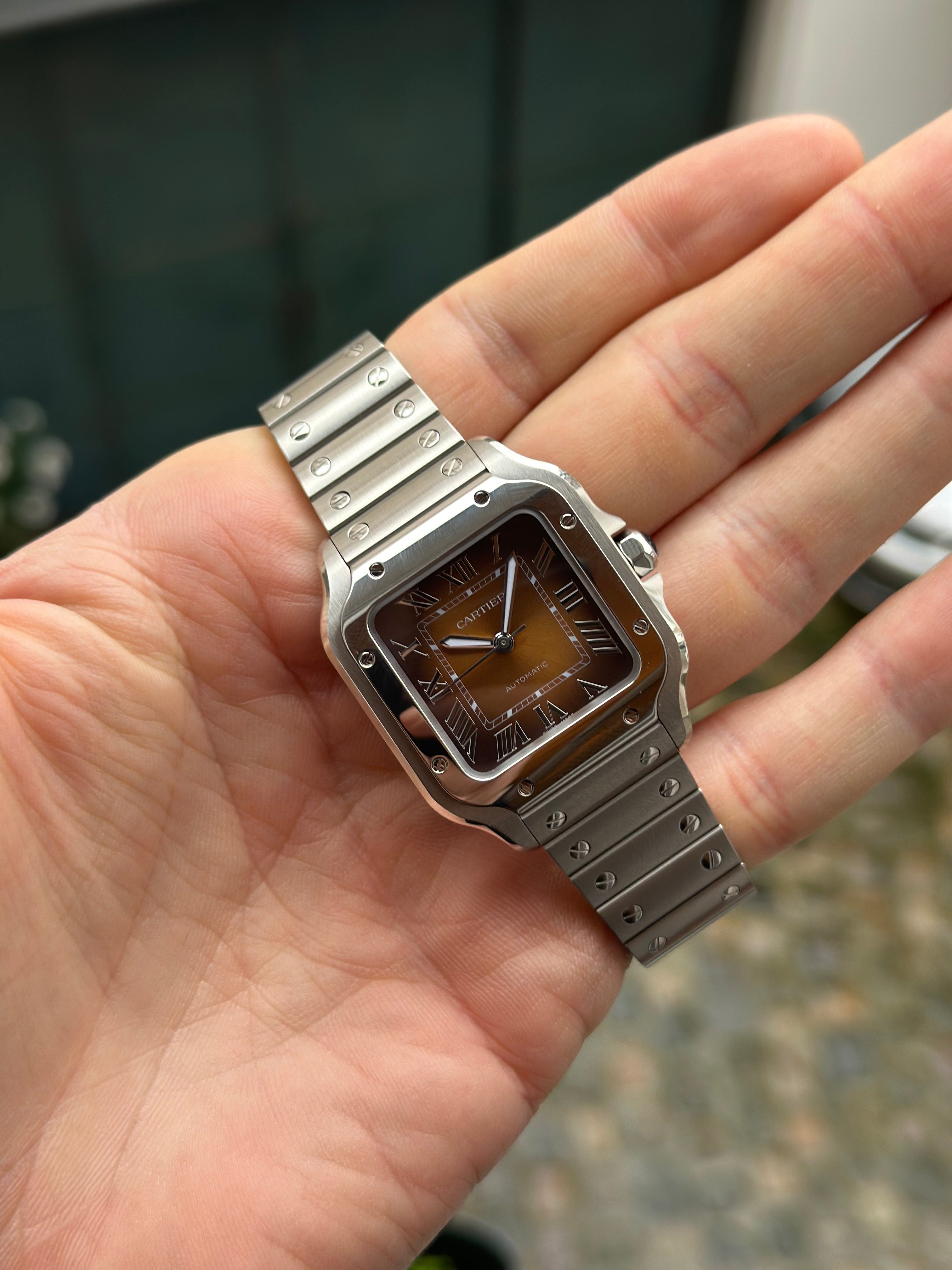 Cartier Santos WSSA0065